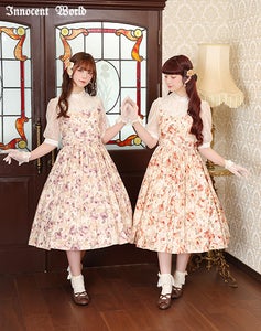 Queen Elizabeth Rose OP by Innocent World Queen Elizabeth Rose OP by Innocent World